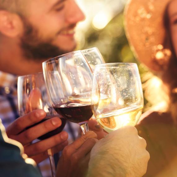 Amics brindant amb vi