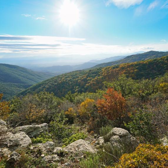 Paysage de la Sierra de l'Albera en automne