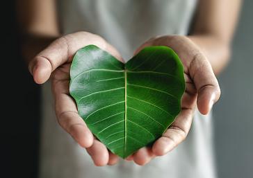 Referents en sostenibilitat i energies renovables