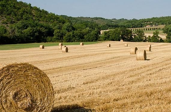 Marca Empordà